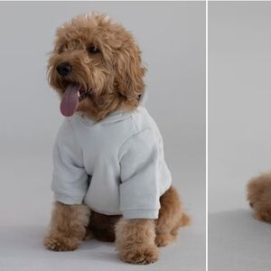 Comfrt NEW The Standard Paw Hoodie Fog Color Size Small